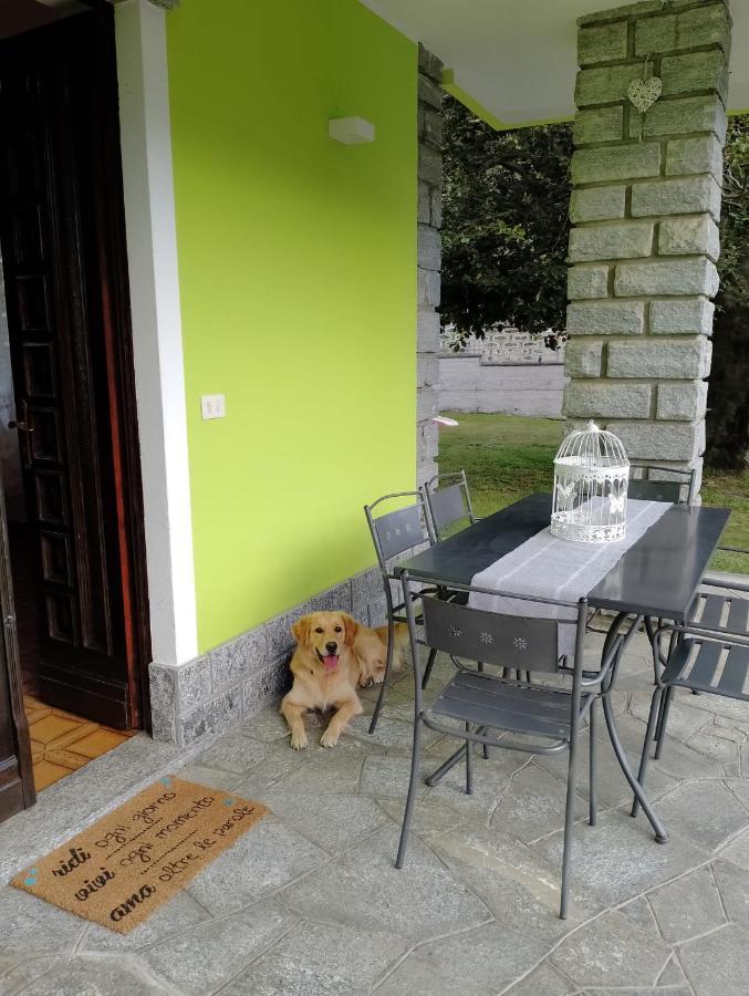 Bed and Breakfast Il Faggio à Beura Extérieur photo